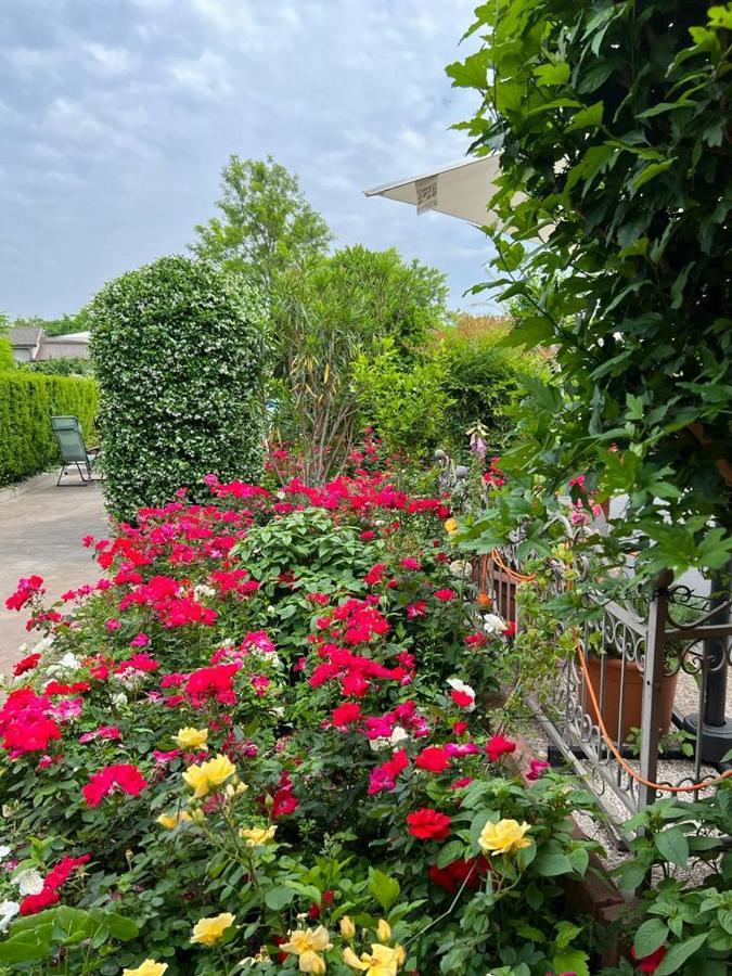 Casa Serenella B&B - Casa Vacanze Piazzola sul Brenta Eksteriør billede