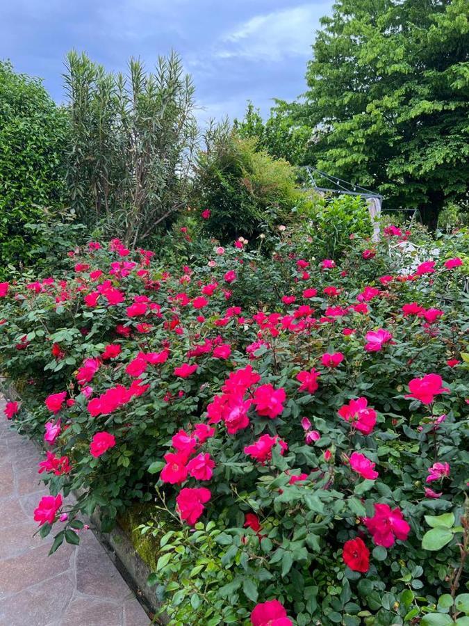 Casa Serenella B&B - Casa Vacanze Piazzola sul Brenta Eksteriør billede